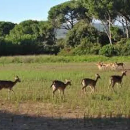 Holiday home La Casetta Sulla Laguna *